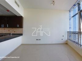 Studio Apartment for sale at C6 Tower, City Of Lights, Al Reem Island