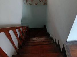 ขายบ้านเดี่ยว 4 ห้องนอน ในโครงการ บ้านกล้วยไม้, สันทรายน้อย, สันทราย, เชียงใหม่, ไทย