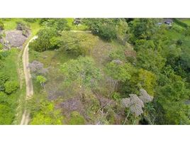  Land for sale in Osa, Puntarenas, Osa