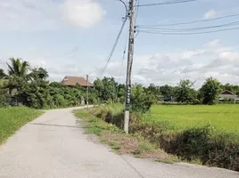 在San Klang, 讪巴东出售的 土地, San Klang