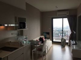 1 Bedroom Condo for rent at The Parkland Phetkasem Condominium, Bang Khae, Bang Khae