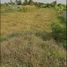  Land for sale in Lat Lum Kaeo, Pathum Thani, Lat Lum Kaeo, Lat Lum Kaeo