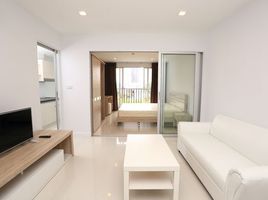 1 Bedroom Condo for rent at TKF Condo, Bang Chak