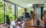 Communal Gym at Layan Residences by Anantara