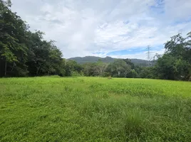  Land for sale in Thalang, Phuket, Thep Krasattri