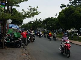 4 Schlafzimmer Villa zu verkaufen in Tan Phu, Ho Chi Minh City, Tan Son Nhi