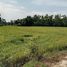  Grundstück zu verkaufen in Banphot Phisai, Nakhon Sawan, Ban Daen