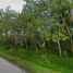  Land for sale in Mueang Chumphon, Chumphon, Hat Phan Krai, Mueang Chumphon