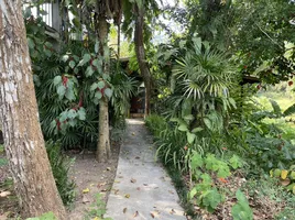 Studio Hotel for sale in Nong Thale, Krabi, Nong Thale, Mueang Krabi, Krabi