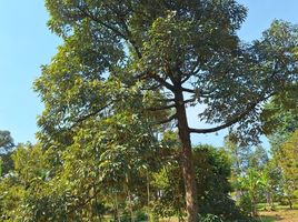  Grundstück zu verkaufen in Wang Chan, Rayong, Wang Chan