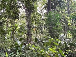  Grundstück zu verkaufen in Tha Mai, Chanthaburi, Khao Baisi