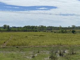  Grundstück zu verkaufen in Si Songkhram, Nakhon Phanom, Tha Bo Songkhram, Si Songkhram