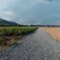 Grundstück zu verkaufen in Khlong Phai, Nakhon Ratchasima, Khlong Phai, Sikhio