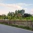  Land for sale in Saraphi, Chiang Mai, Saraphi, Saraphi