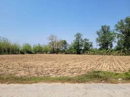  Land for sale in Kamphaeng Phet, Khanu Woralaksaburi, Kamphaeng Phet