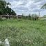  Land for sale in Lam Luk Ka Pathum Thani, Khu Khot