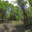  Land for sale in Bay Islands, Utila, Bay Islands