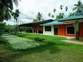  Земельный участок for sale in Chumphon, Tha Yang, Mueang Chumphon, Chumphon