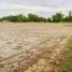  Land for sale in Nong Chang Uthai Thani, Nong Chang, Nong Chang