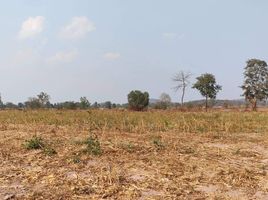  Grundstück zu verkaufen in Doem Bang Nang Buat, Suphan Buri, Hua Na, Doem Bang Nang Buat