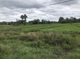  Land for sale in Na Kae, Nakhon Phanom, Phra Song, Na Kae