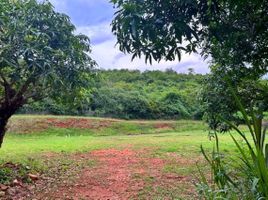  Grundstück zu verkaufen in Pran Buri, Prachuap Khiri Khan, Pak Nam Pran