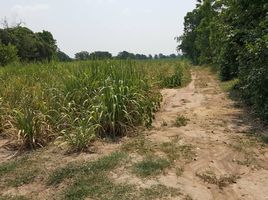  Land for sale in Chai Nat, Den Yai, Hankha, Chai Nat