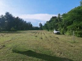  Land for sale in Nam Phrae, Hang Dong, Nam Phrae