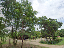  Grundstück zu verkaufen in Mueang Phitsanulok, Phitsanulok, Ban Khlong