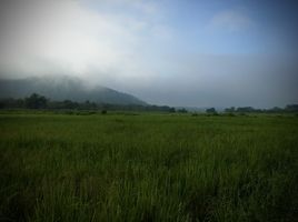 在南奔府出售的 土地, Si Bua Ban, Mueang Lamphun, 南奔府