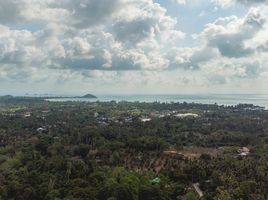  Land for sale in Ang Thong, Koh Samui, Ang Thong
