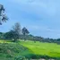  Land for sale in Tham, Kanthararom, Tham