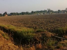 Land for sale in Nakhon Pathom, Thung Luk Nok, Kamphaeng Saen, Nakhon Pathom