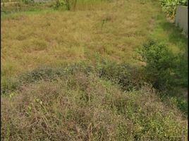  Land for sale in Lat Lum Kaeo, Pathum Thani, Lat Lum Kaeo, Lat Lum Kaeo