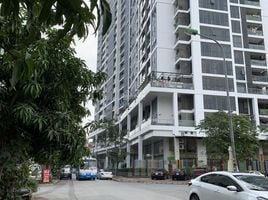 10 Schlafzimmer Villa zu verkaufen in Ha Dong, Hanoi, Mo Lao