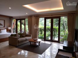 5 Schlafzimmer Villa zu verkaufen in Binh Chanh, Ho Chi Minh City, Binh Chanh