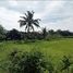  Land for sale in San Pa Tong, Chiang Mai, San Klang, San Pa Tong