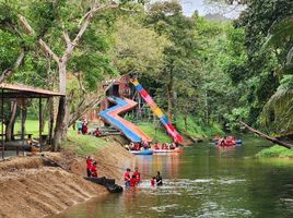 70 Schlafzimmer Hotel / Resort zu vermieten in Phetchaburi, Kaeng Krachan, Kaeng Krachan, Phetchaburi