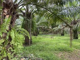  Grundstück zu verkaufen in Khlong Hoi Khong, Songkhla, Khlong Hoi Khong, Khlong Hoi Khong, Songkhla