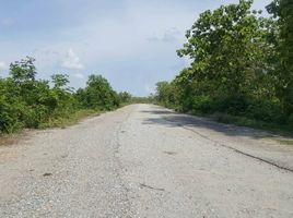  Grundstück zu verkaufen in Bo Phloi, Kanchanaburi, Nong Kum