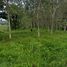  Land for sale in Thep Krasattri, Thalang, Thep Krasattri