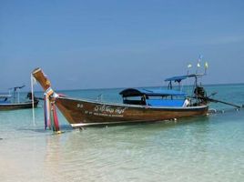  Grundstück zu verkaufen in Pa Khlok, Phuket, Pa Khlok, Thalang, Phuket