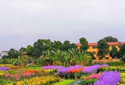 Neighborhood Overview of Linh Nam, Ha Noi