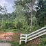  Land for sale in Chalong, Phuket Town, Chalong