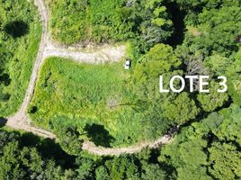  Land for sale in Guanacaste, Carrillo, Guanacaste