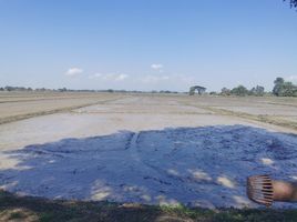 ขายที่ดิน ใน พาน เชียงราย, ทานตะวัน, พาน, เชียงราย