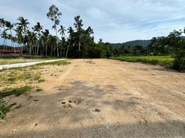  Grundstück zu verkaufen in Koh Samui, Surat Thani, Maenam, Koh Samui