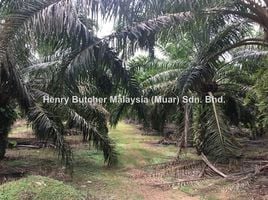  Land for sale in Kedah, Padang Masirat, Langkawi, Kedah