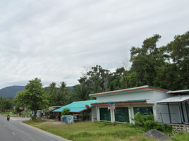  Grundstück zu verkaufen in Khanom, Nakhon Si Thammarat, Khanom, Khanom