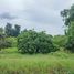  Land for sale in Makhun Wan, San Pa Tong, Makhun Wan